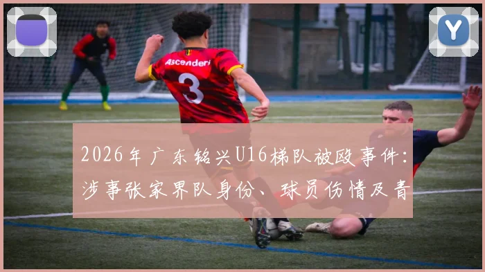 2026年广东铭兴U16梯队被殴事件：涉事张家界队身份、球员伤情及青训暴力追责探讨